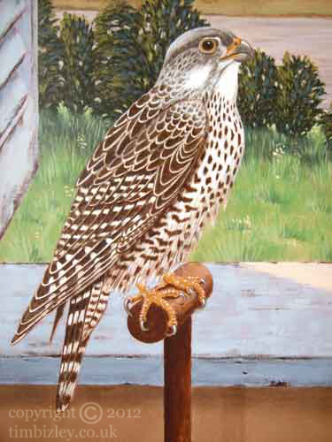 image of falcon a detail of a murals painted on canvas London